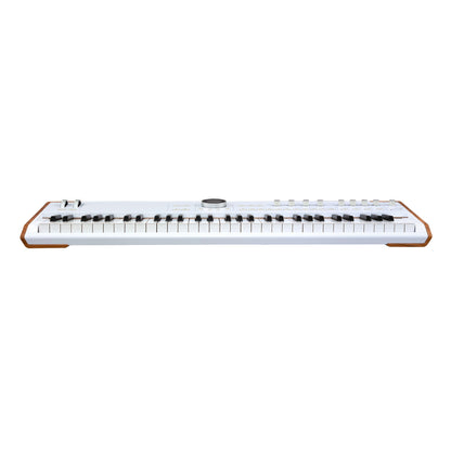 Arturia AstroLab Avant-Garde 61-Key Stage Keyboard