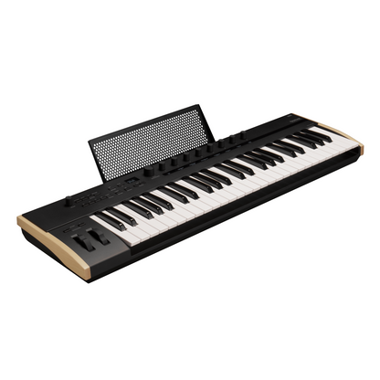 Korg Keystage 49 49-key Polytouch MIDI 2.0 controller